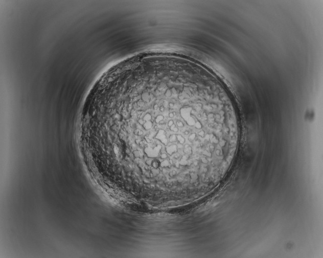 X0000100200992200805301306