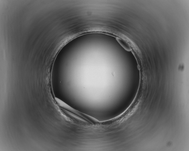 X0000100200993200805301306