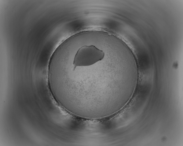 X0000100200994200805301306