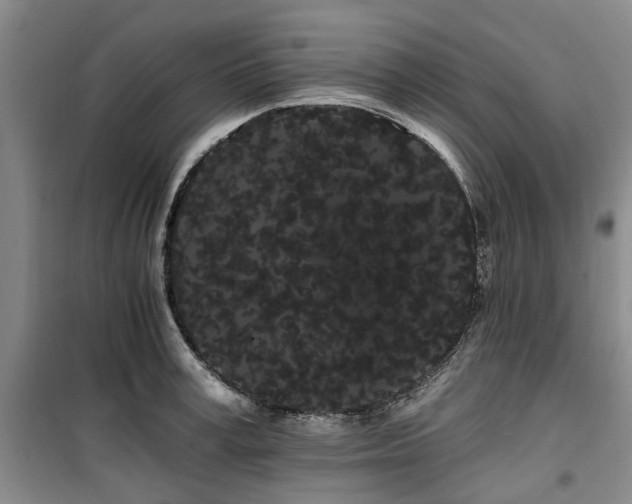 X0000100200995200805301306