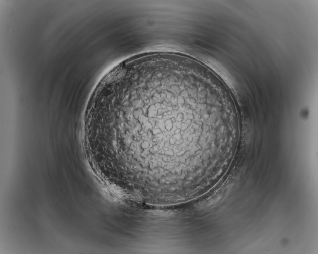 X0000100200996200805301306