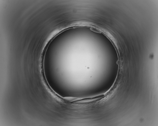 X0000100200997200805301306