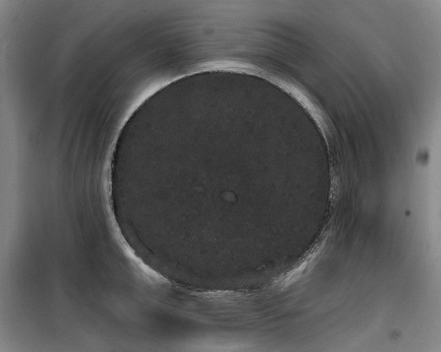 X0000100200999200805301306