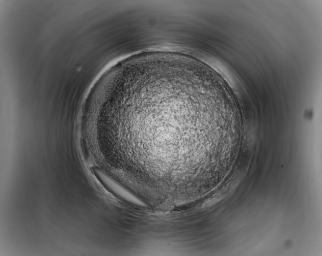 X0000100201000200805301306