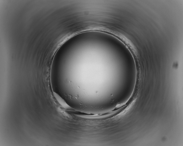 X0000100201001200805301306