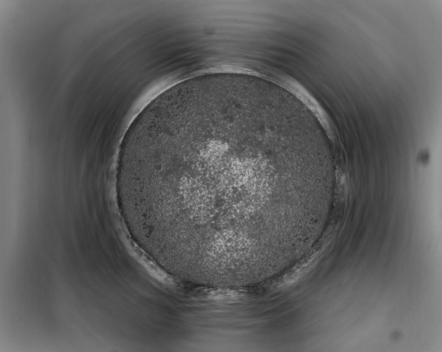 X0000100201002200805301306