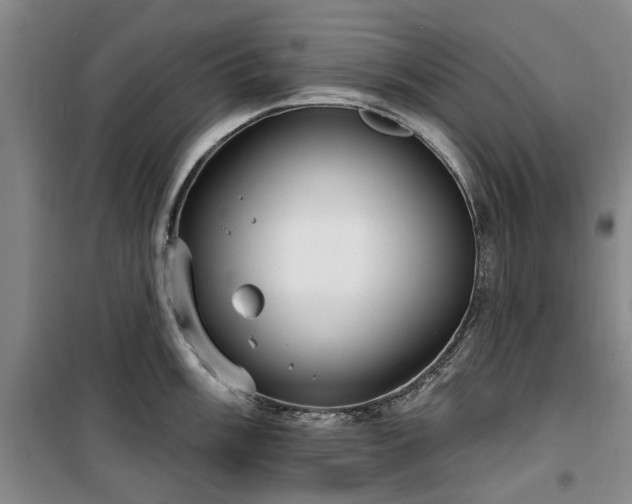 X0000100201003200805301306