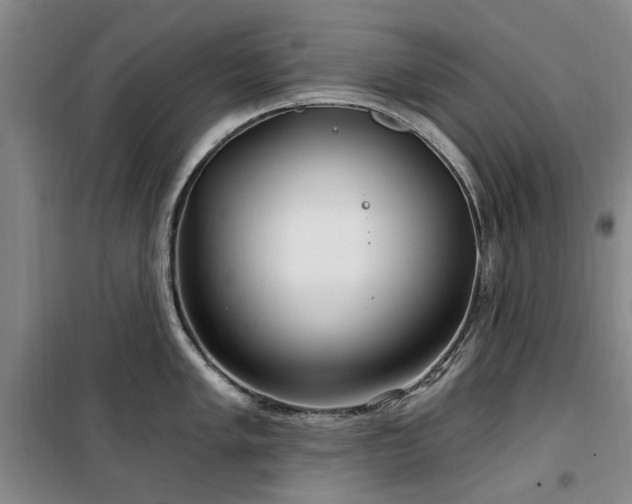 X0000100201005200805301306