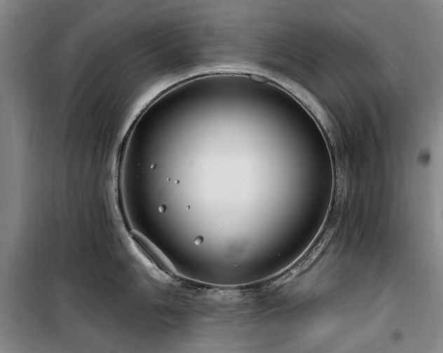 X0000100201006200805301306