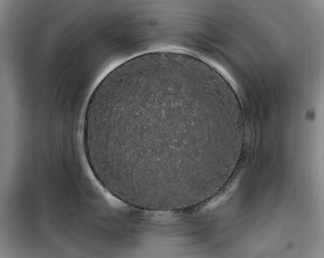 X0000100201007200805301306