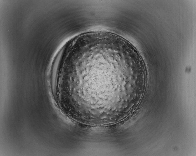 X0000100201008200805301306