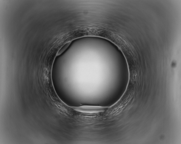 X0000100201010200805301305