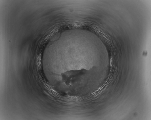 X0000100201011200805301305