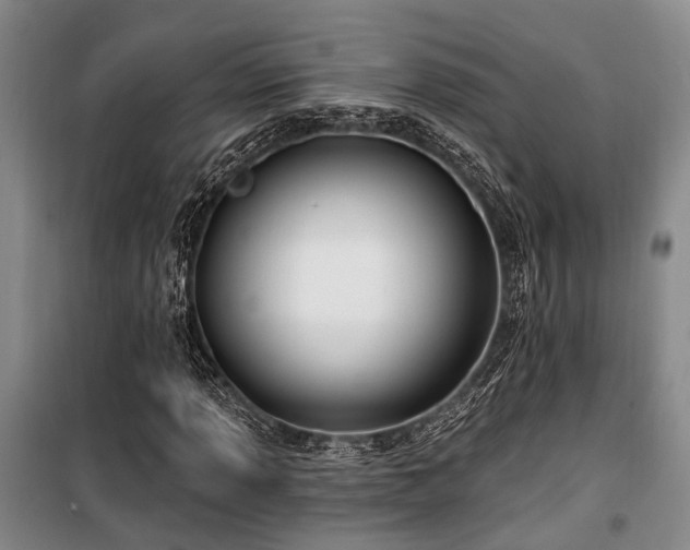 X0000100201013200805301305