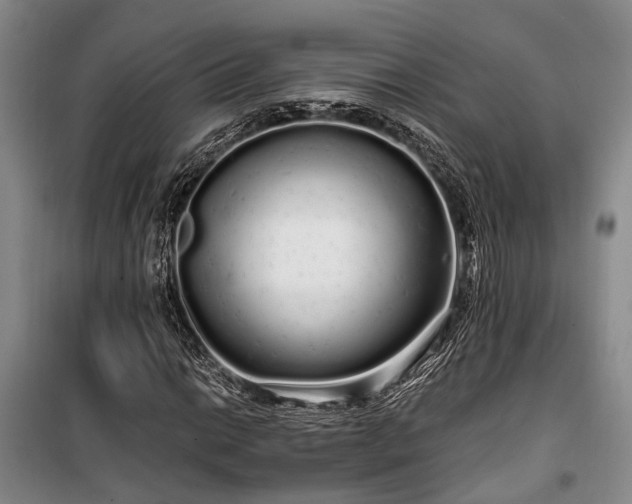 X0000100201014200805301305