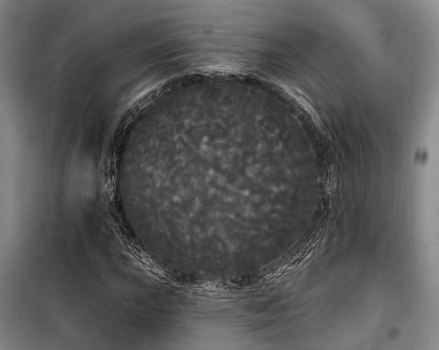 X0000100201015200805301305