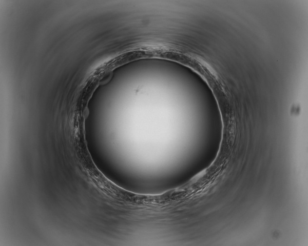 X0000100201016200805301305