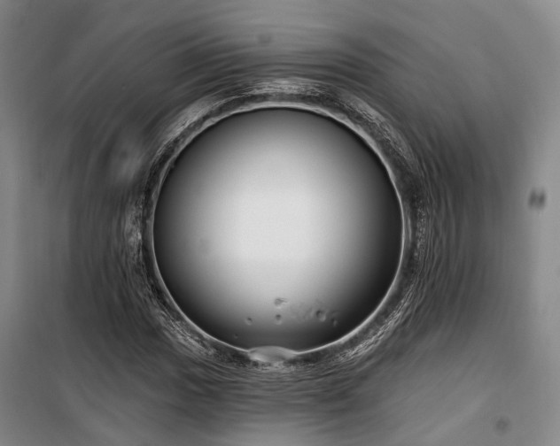 X0000100201017200805301305