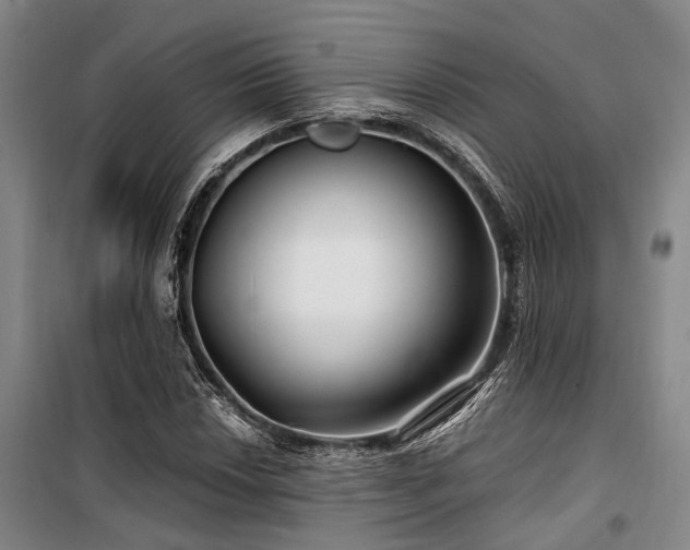 X0000100201018200805301305