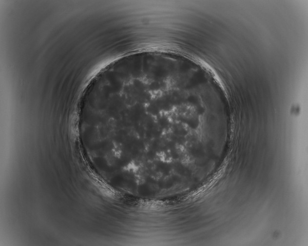 X0000100201019200805301305