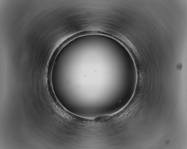 X0000100201020200805301305