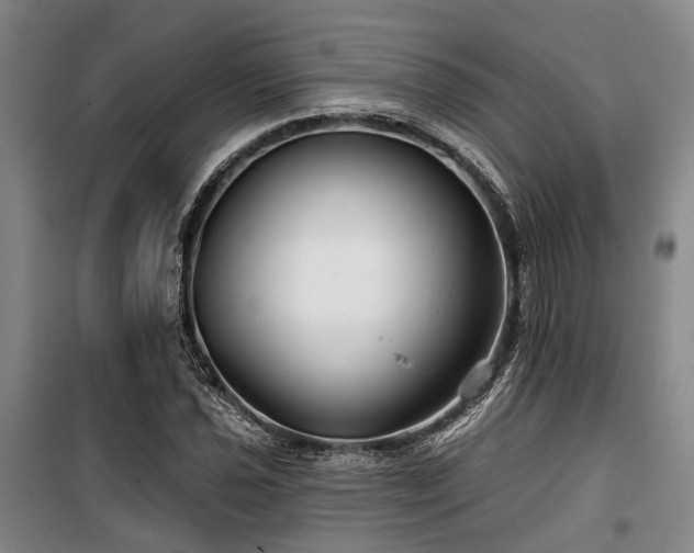 X0000100201021200805301305