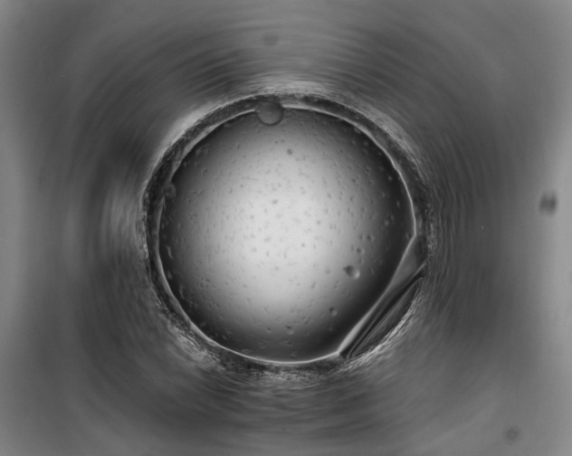 X0000100201022200805301305