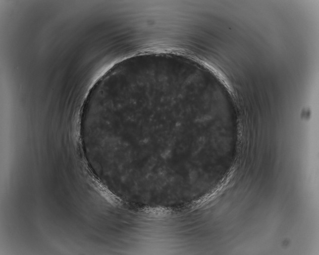 X0000100201023200805301305