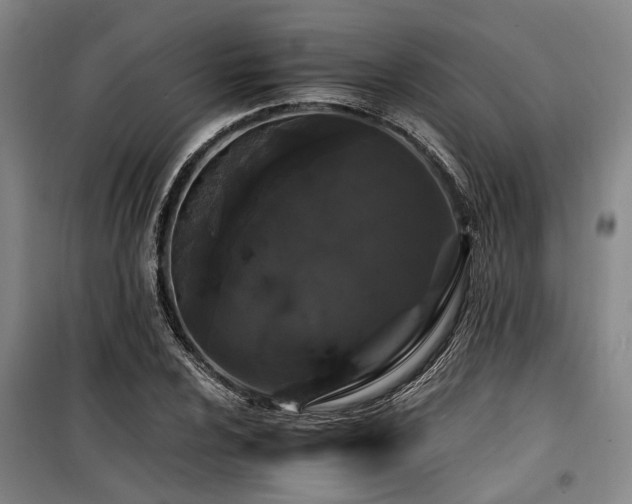 X0000100201024200805301305