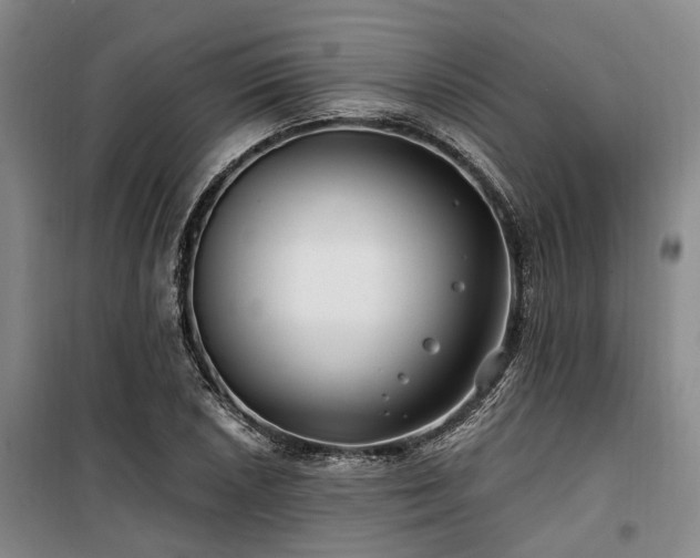 X0000100201026200805301305