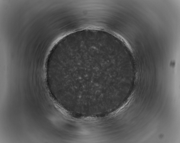 X0000100201027200805301305