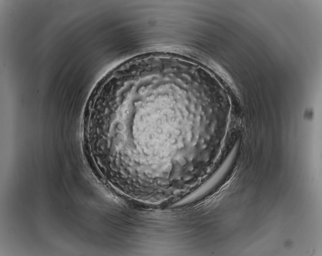 X0000100201028200805301305