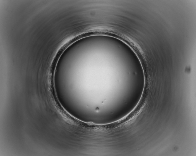 X0000100201029200805301305