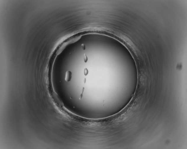 X0000100201030200805301305