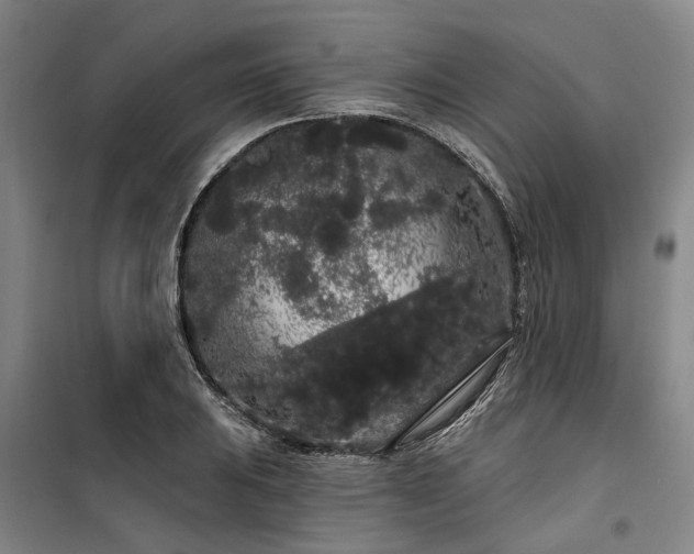 X0000100201031200805301305