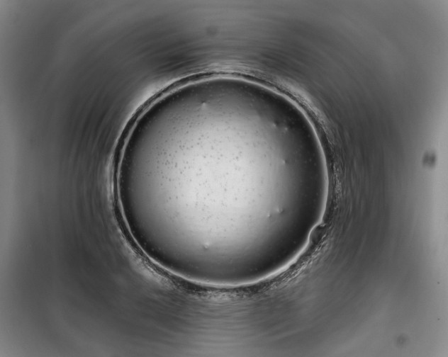 X0000100201032200805301305