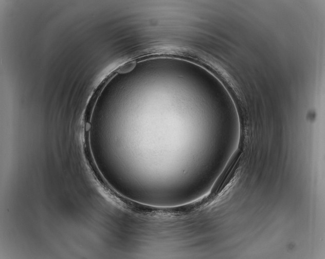 X0000100201034200805301305