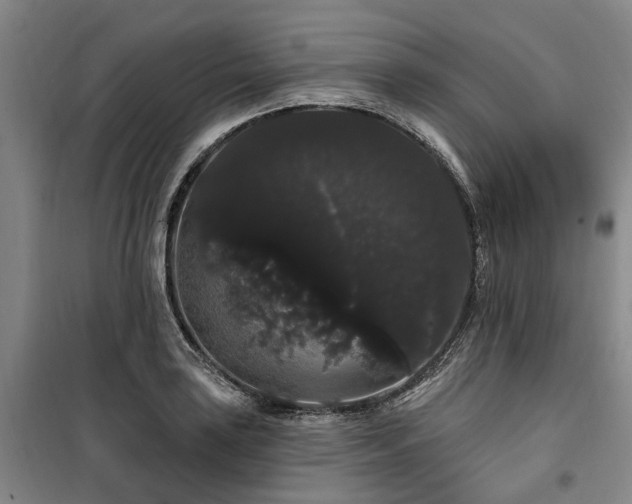 X0000100201035200805301305