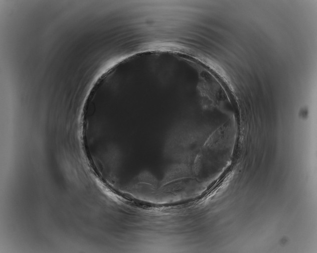 X0000100201037200805301305