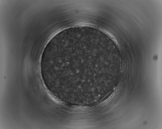 X0000100201039200805301305