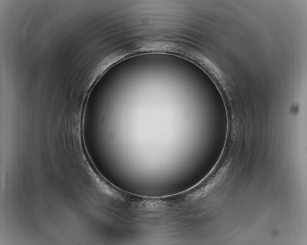 X0000100201041200805301305