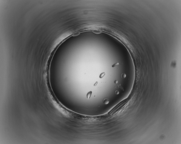 X0000100201042200805301305