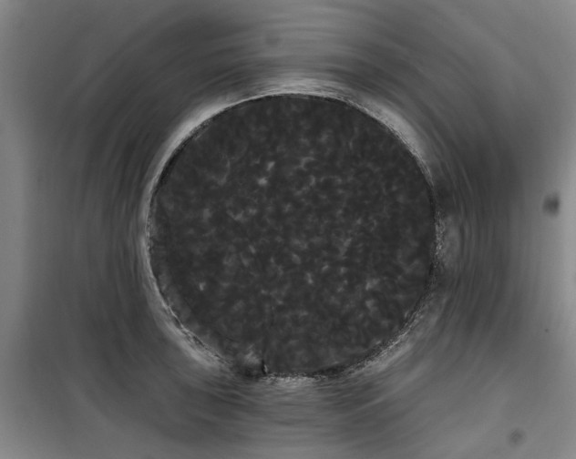 X0000100201043200805301305