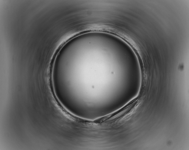 X0000100201045200805301306