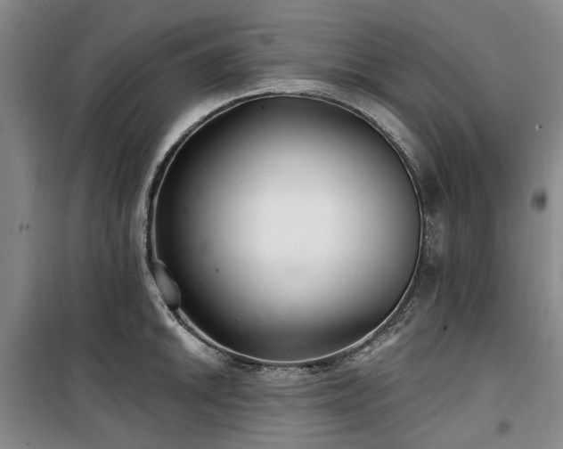 X0000100201046200805301306