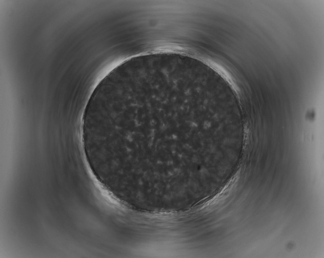 X0000100201047200805301306