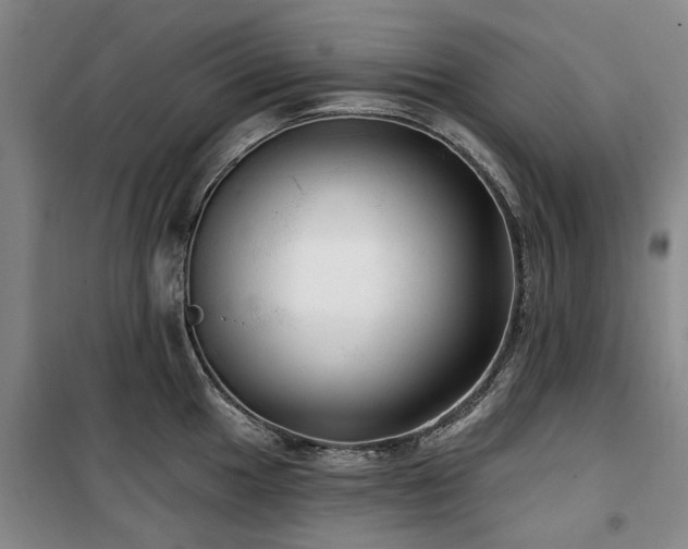 X0000100201049200805301306