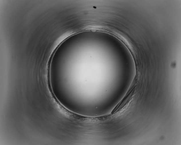 X0000100201050200805301306