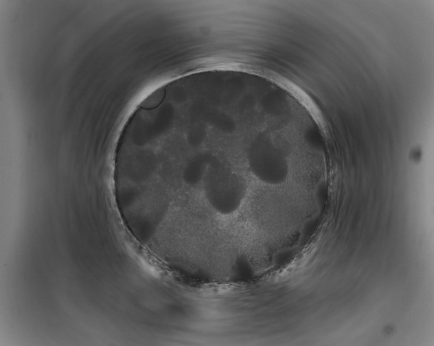 X0000100201051200805301306