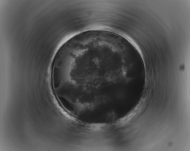 X0000100201053200805301306